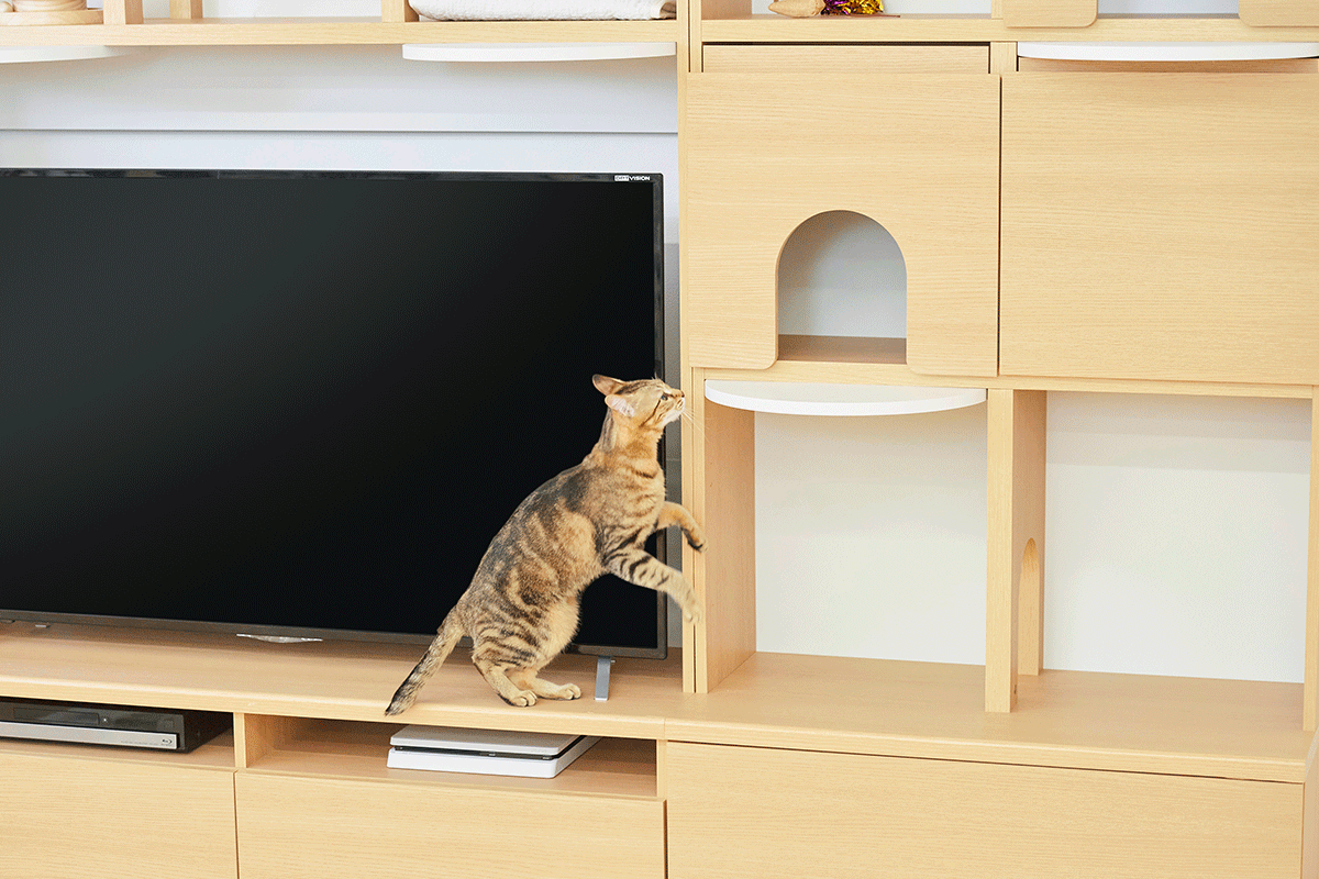 猫と一緒に過ごす 猫家具「ニャコモ」特集 | 家具インテリア通販の 猫と一緒に過ごす 猫家具「ニャコモ」特集 | 家具インテリア通販の