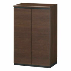 国産 下駄箱 シューズボックス 幅61cm 高さ96cm ダークブラウン 洗える樹脂棚 巾木よけ ダンパー付扉