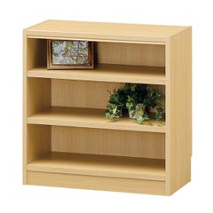 フリーラック 幅59cm 高さ60cm ナチュラルオーク1 小さな サイズ 全棚可動 本棚 シェルフ