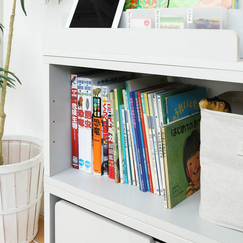 [図鑑や絵本の収納]移動棚を外すと、A4サイズ高さの本が収納できます。図鑑や絵本などもたくさん収納できますよ。