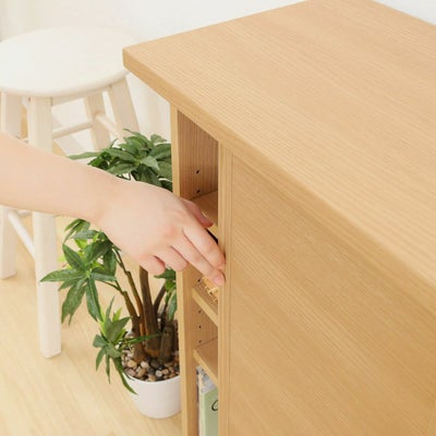 開閉スペースを取らない引き戸タイプ