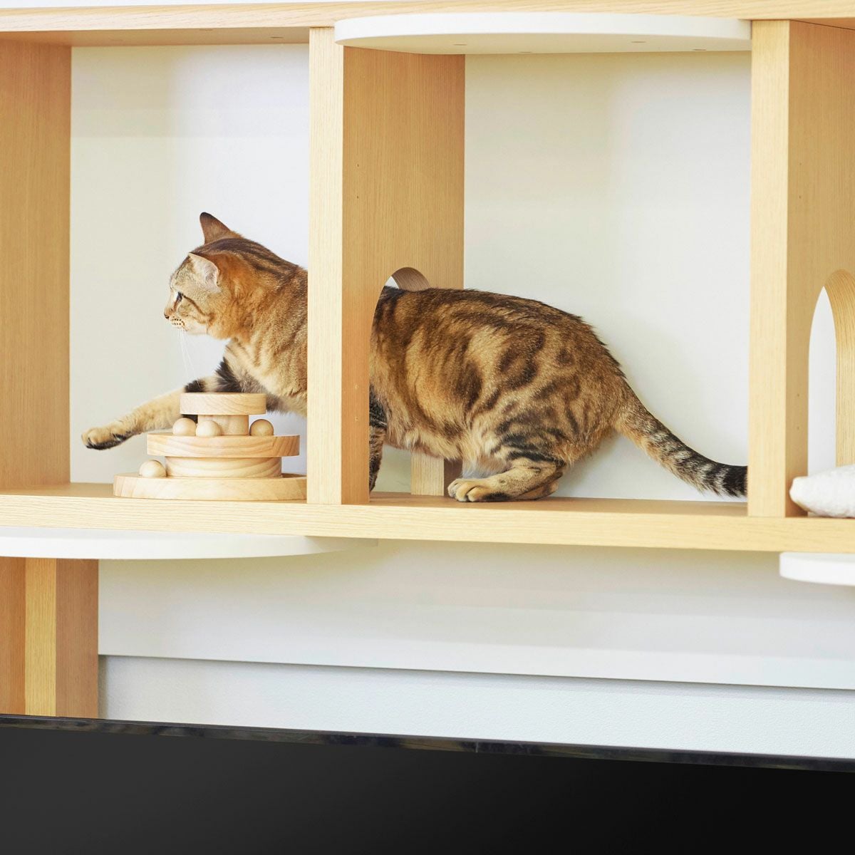 猫好き必見❗キャットウォークテレビ台 エア・リゾーム テレビ台 テレビスタンド テレビボード キャットタワー