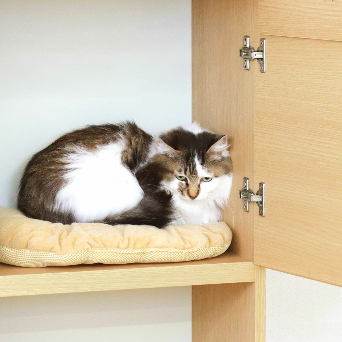壁面収納 棚 キャットウォーク 幅45cm 高さ185cm ナチュラルブラウン