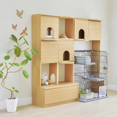 ケージの上もキャットウォークに