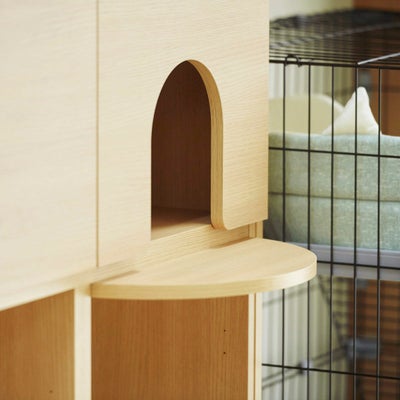 ニャコモ専用 ステップ