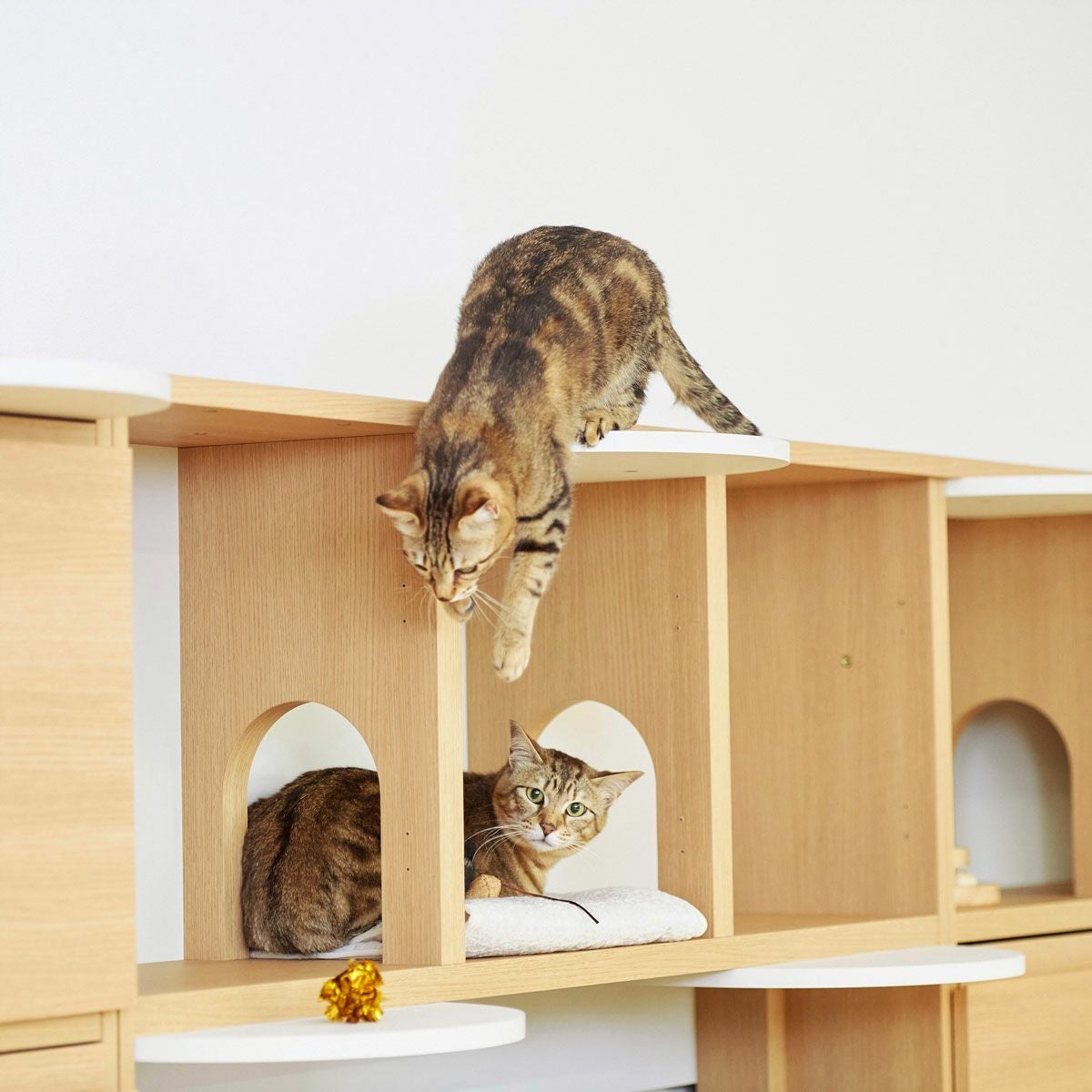 L様おまとめ　棚とねこ 追加ステップ 猫用 ニャコモ専用 ナチュラルブラウン キャットウォーク