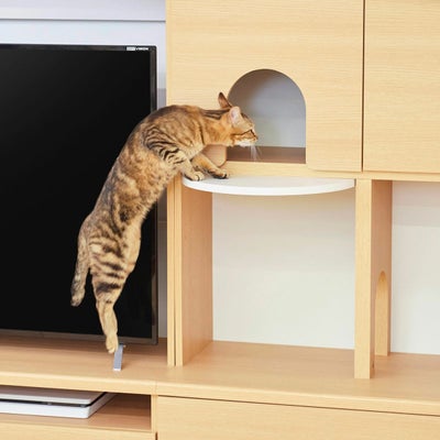 ステップをつけてキャットタワーに