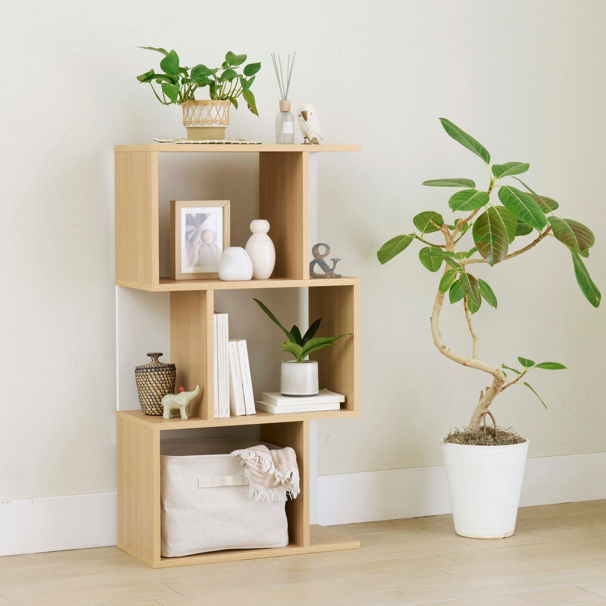 ディスプレイラック | 家具インテリア通販のSHIRAI STORE(白井産業)