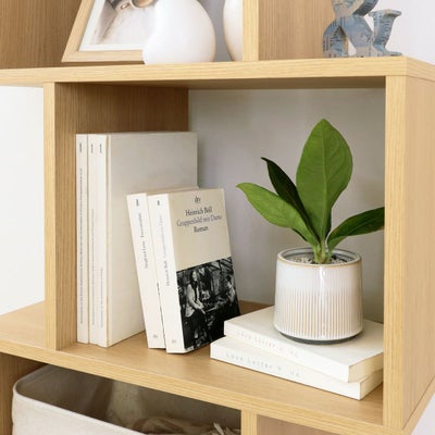 雑貨のディスプレイを楽しめる