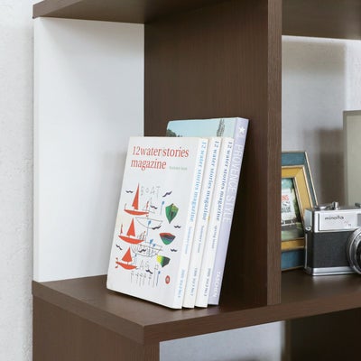 狭い方の棚は小さな物をディスプレイ