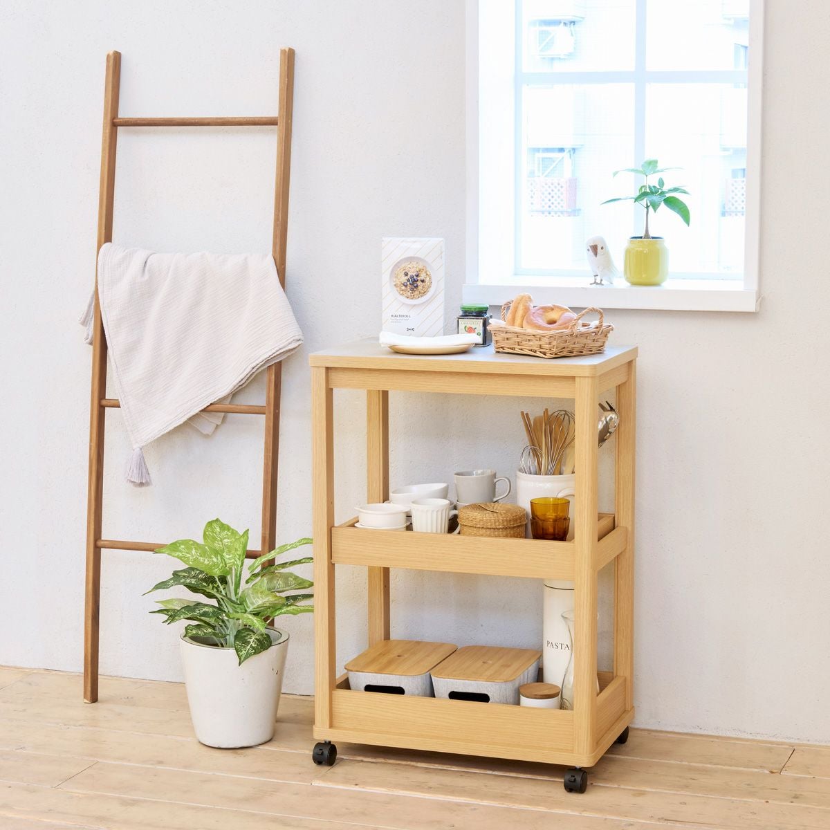 ディスプレイラック 棚 幅82cm 高さ76cm ナチュラルブラウン 飾り棚